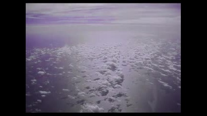 Royal Ts - So High 