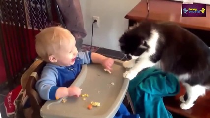 Компилация Смях !.. Cute Cat And Baby Videos Compilation 2015