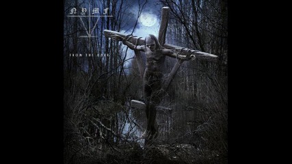 Nymf-05. Evolution Blues
