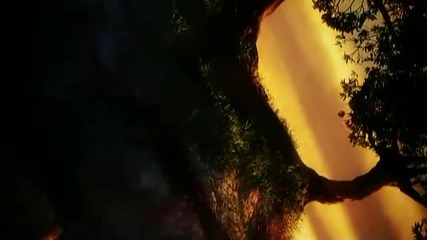 Magical Journey.oceania. Haere Ra