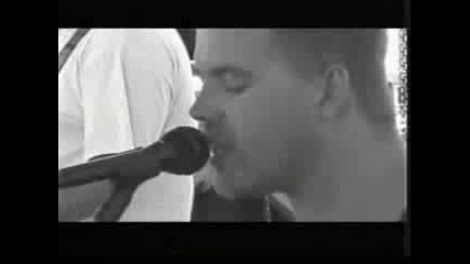 Sublime - 5446 Live