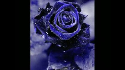 Sonata Arctica - No Dream Can Heal a Broken Heart lyrics