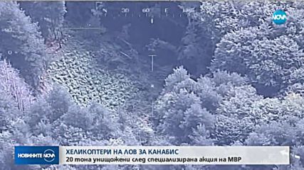Хеликоптери на МВР на лов в ниви с марихуана