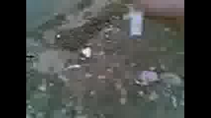Пародия на S.a.w