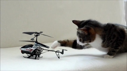 Коте и хеликоптер
