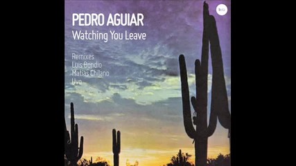 Pedro Aguiar - Watching You Leave (uvo's Lonely Remix)