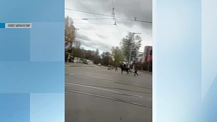 Дете язди кон на голям булевард в София