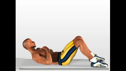 Body area - Abs (abdomen) 6