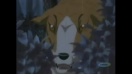 SilverFangLegendWeed_Ep14_Part1