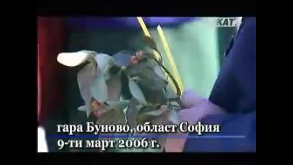 Турският тероризъм в България
