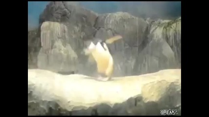 Dubstep Penguin