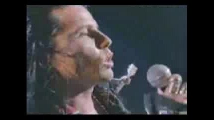 The Cult - Wild Flower