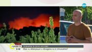 Пламъците край Лесово достигнаха и Турция