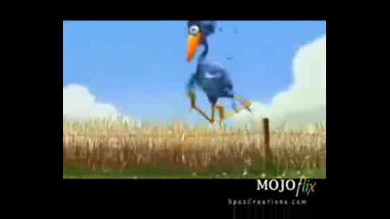 Stupid Bird
