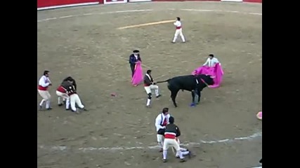Bullfight gone wrong