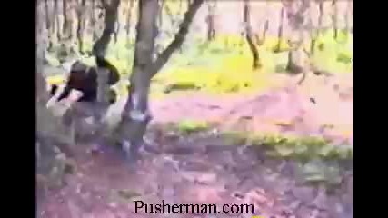 paintball player runs into tree