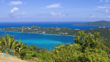 Son Charged in Parents' Virgin Islands Murder