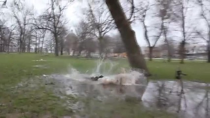 Поредния пълен идиот!