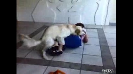 kuче на*ба бабка ;d