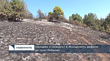 Овладян е пожарът в Искърското дефиле до село Реброво