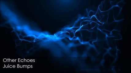 Other Echoes - Juice Bumps