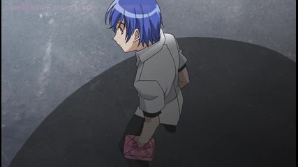 Kampfer Op 