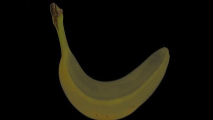 Битка на Албумите за банана