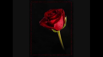 Juan Gabriel - Esta Rosa Roja 