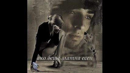 Като Птица-балада (текст)