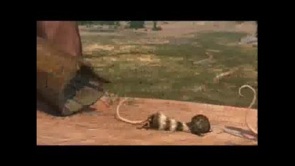 Crash &eddie Stunts
