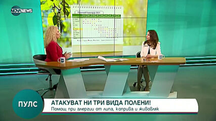 "Пулс": Как да подходим при алергии от липа, коприва и живовляк?