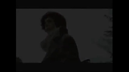Harry Styles - Peacock