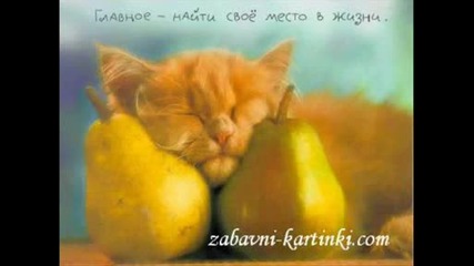 Сладки котета :)