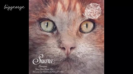 Simion - Give You Love ( The Piano ) ( Dario D'attis Remix )