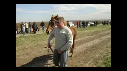 В Село Долни Луковит Кошия