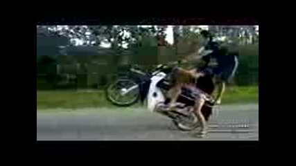 Insane Deathdefying Moped Stunts by Two Crazy Talented Rider