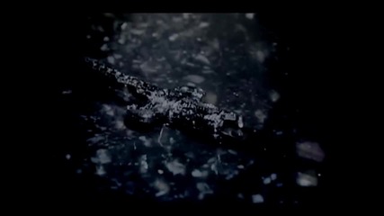 Анелия- Не търси вината (фен видео)