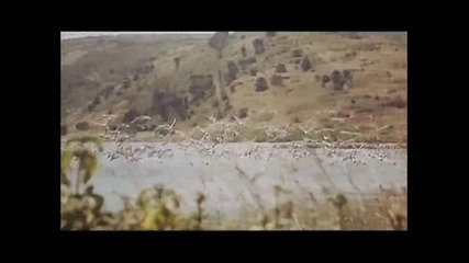 Lepa Brena - Tamba Lamba (spot)
