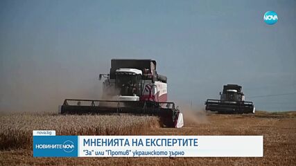 МНЕНИЯТА НА ЕКСПЕРТИТЕ: "За" или "Против" украинското зърно