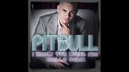 Pitbull - I Know You Want Me