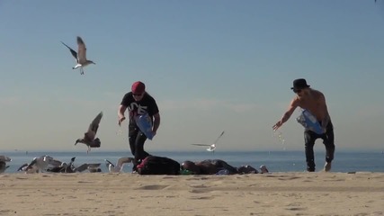 Луда шега на плажа с птици!