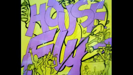 The World Class Wreckin Cru - House Fly