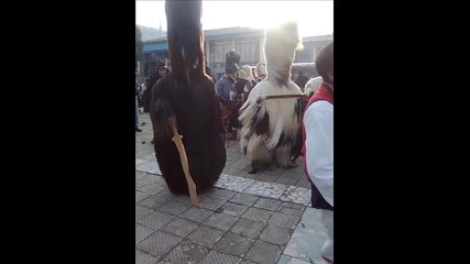 Surva