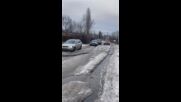 "Моята новина": Случаят с палмата ул. "Момино венче" продължение
