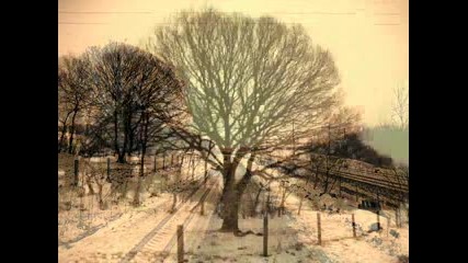 Kings Of Convenience - I Dont Know What I Can Save You From