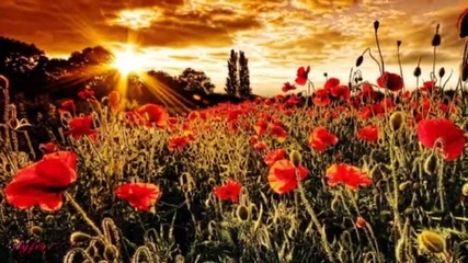 Richard Clayderman - Seninle bir dakika A Moment With You