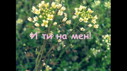 Animals of a simple girl 11 епизод