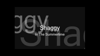 Shaggy - In The Summertime