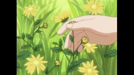 Naruto - Uncut - Episode - 41