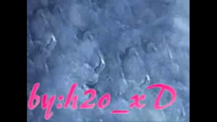 H2o Mv